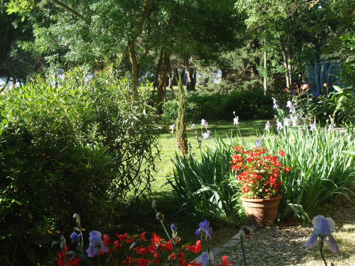 Au Bord De Thau Bed & Breakfast Marseillan  Exterior photo
