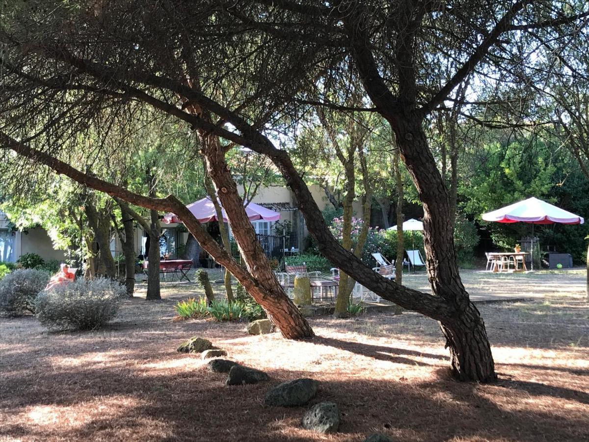 Au Bord De Thau Bed & Breakfast Marseillan  Exterior photo